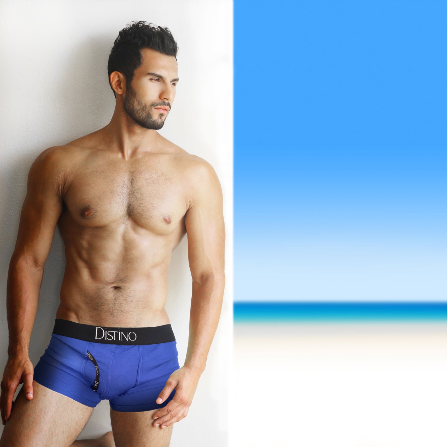 Bamboo Boxer Briefs / Trunks - (Single Pack)